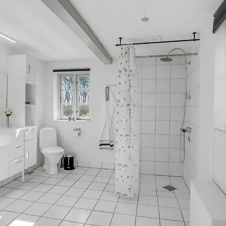 Holiday home Cozy In With Wifi Dannemare